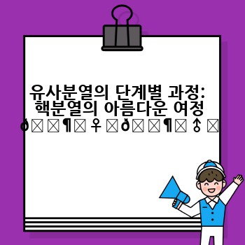 유사분열의 단계별 과정:  핵분열의 아름다운 여정 🚶‍♀️🚶‍♂️