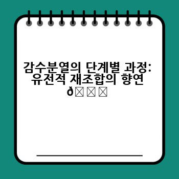 감수분열의 단계별 과정: 유전적 재조합의 향연 🎉