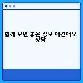 함께 보면 좋은 정보 애견애묘 상담