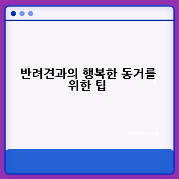 반려견과의 행복한 동거를 위한 팁