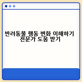 반려동물 행동 변화 이해하기  전문가 도움 받기