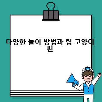 다양한 놀이 방법과 팁 고양이 편