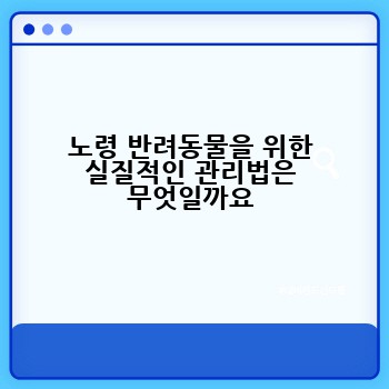 노령 반려동물을 위한 실질적인 관리법은 무엇일까요
