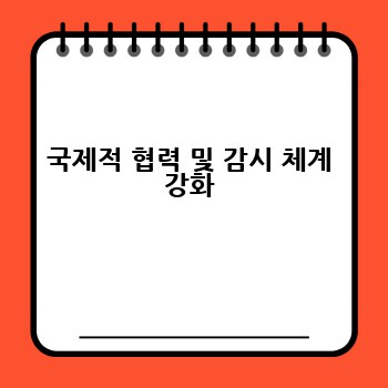 국제적 협력 및 감시 체계 강화