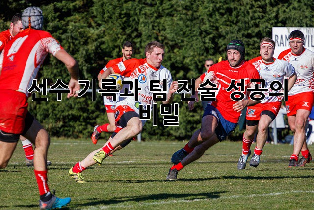 선수 기록과 팀 전술: 성공의 비밀?