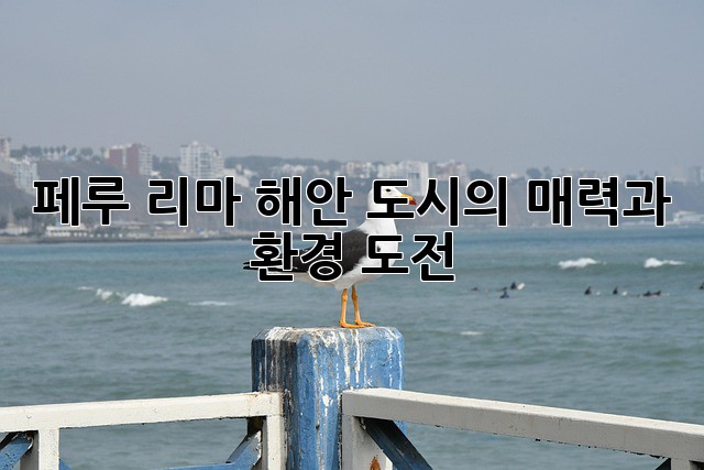 페루 리마: 해안 도시의 매력과 환경 도전