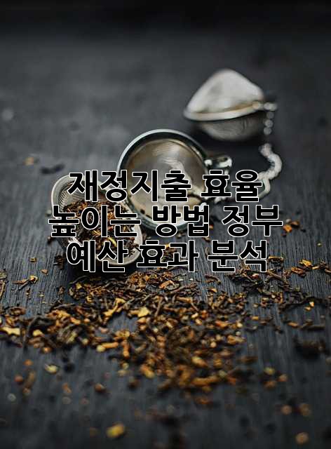 재정지출 효율 높이는 방법: 정부 예산 효과 분석