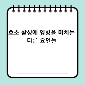 효소 활성에 영향을 미치는 다른 요인들