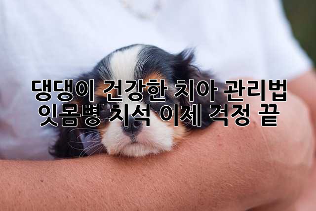 댕댕이 건강한 치아 관리법: 잇몸병, 치석, 이제 걱정 끝!