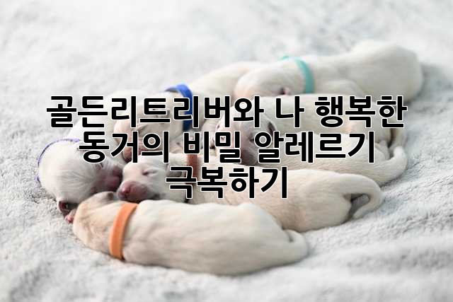 골든리트리버와 나, 행복한 동거의 비밀: 알레르기 극복하기