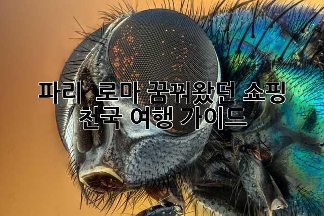 파리 & 로마: 꿈꿔왔던 쇼핑 천국 여행 가이드