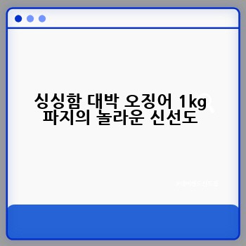 싱싱함 대박 오징어 1kg 파지의 놀라운 신선도