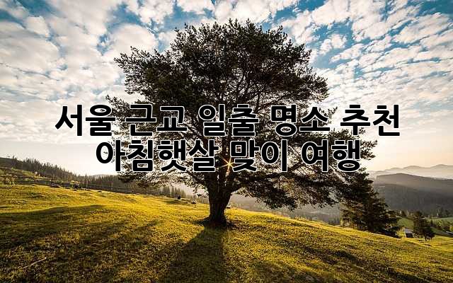 서울 근교 일출 명소 추천: 아침햇살 맞이 여행 ✨