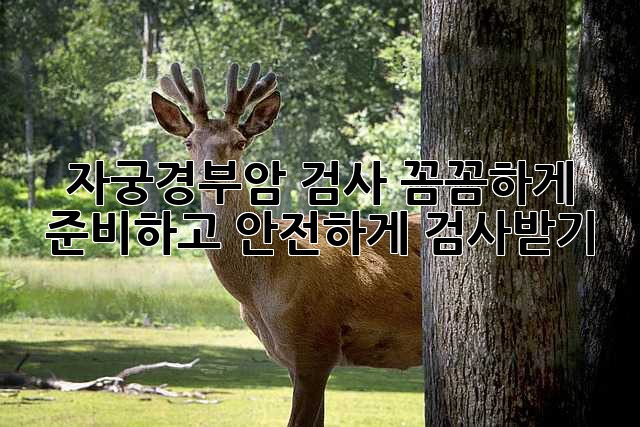 자궁경부암 검사: 꼼꼼하게 준비하고 안전하게 검사받기