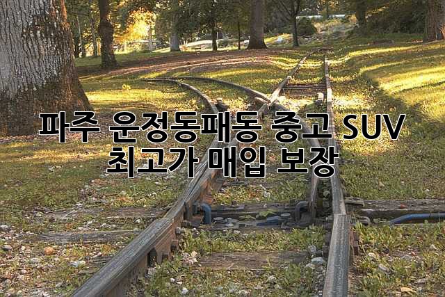 파주 운정/동패동 중고 SUV, 최고가 매입 보장! 💯
