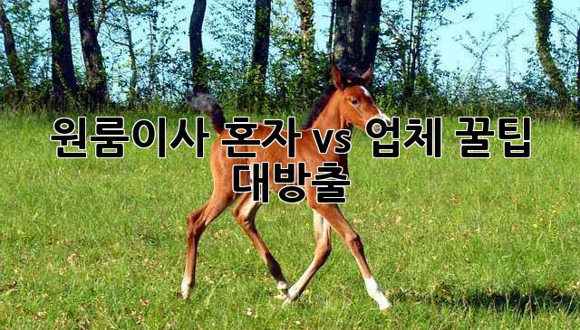 📦 원룸이사, 혼자 vs 업체? 꿀팁 대방출! ✨
