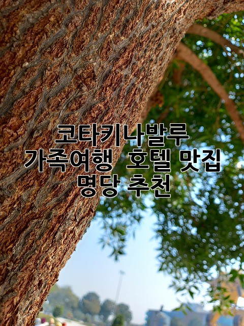 코타키나발루 가족여행 🌴 호텔 맛집 명당 추천