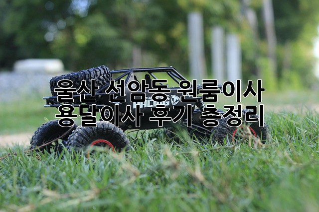 울산 선암동 원룸이사? 용달이사 후기 총정리!